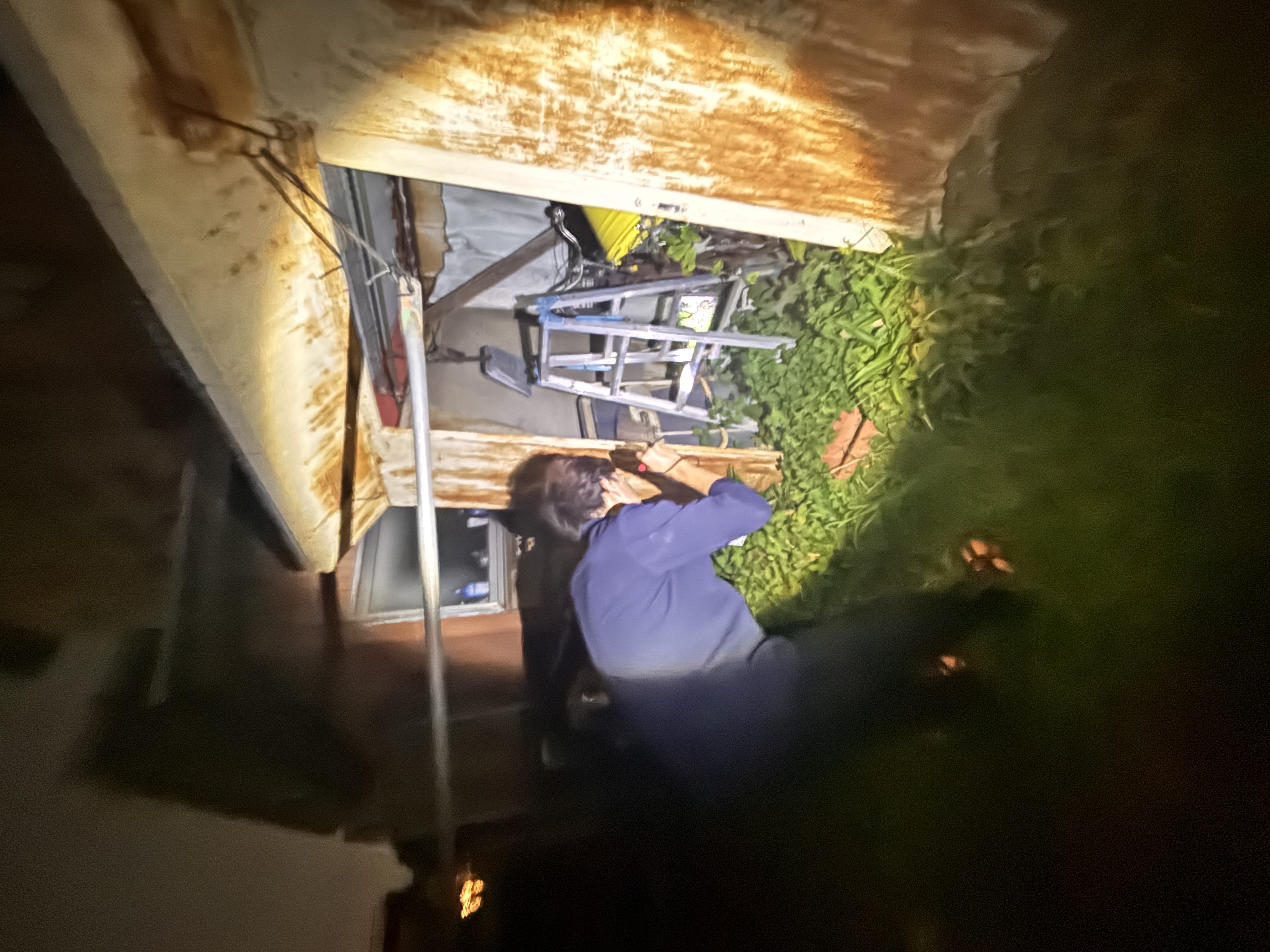 猫探偵センターのチームイメージ